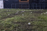 Occultfest 2011_140